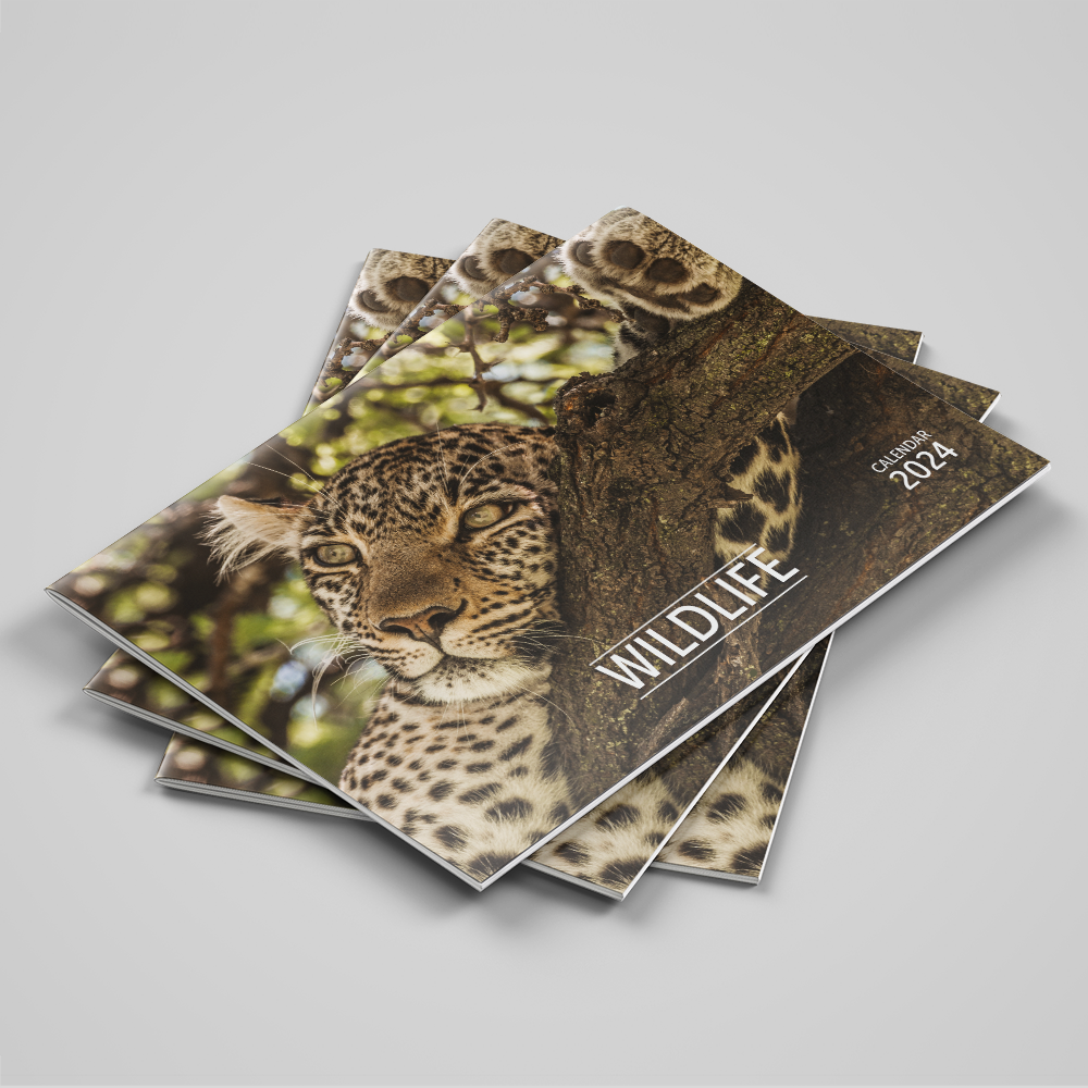 Picture of Wall Calendar - Wildlife