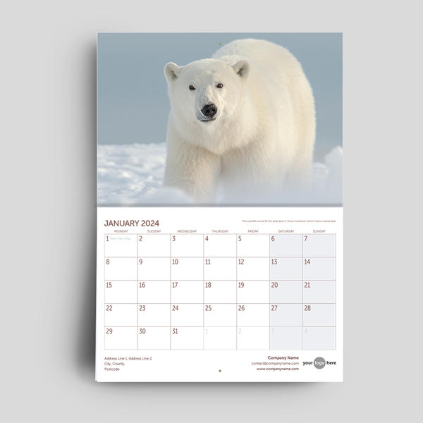 Picture of Wall Calendar - Arctic Kings